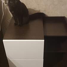 Прикроватная тумбочка Лайна BMS