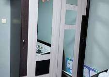 Шкаф-купе Феникс-лайт BMS